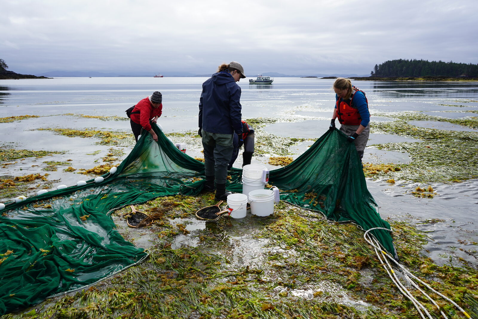 Researchers collaborating on ocean data partnerships
